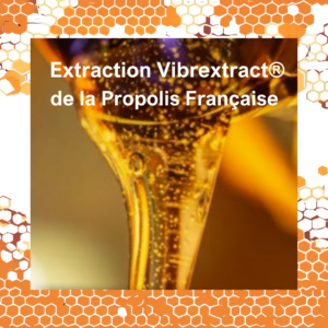 Propolis Bio française extrait Vibrextract Vibra