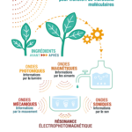 Vibra-process-innovation-vibraforce-conception-extraction-biotechnology