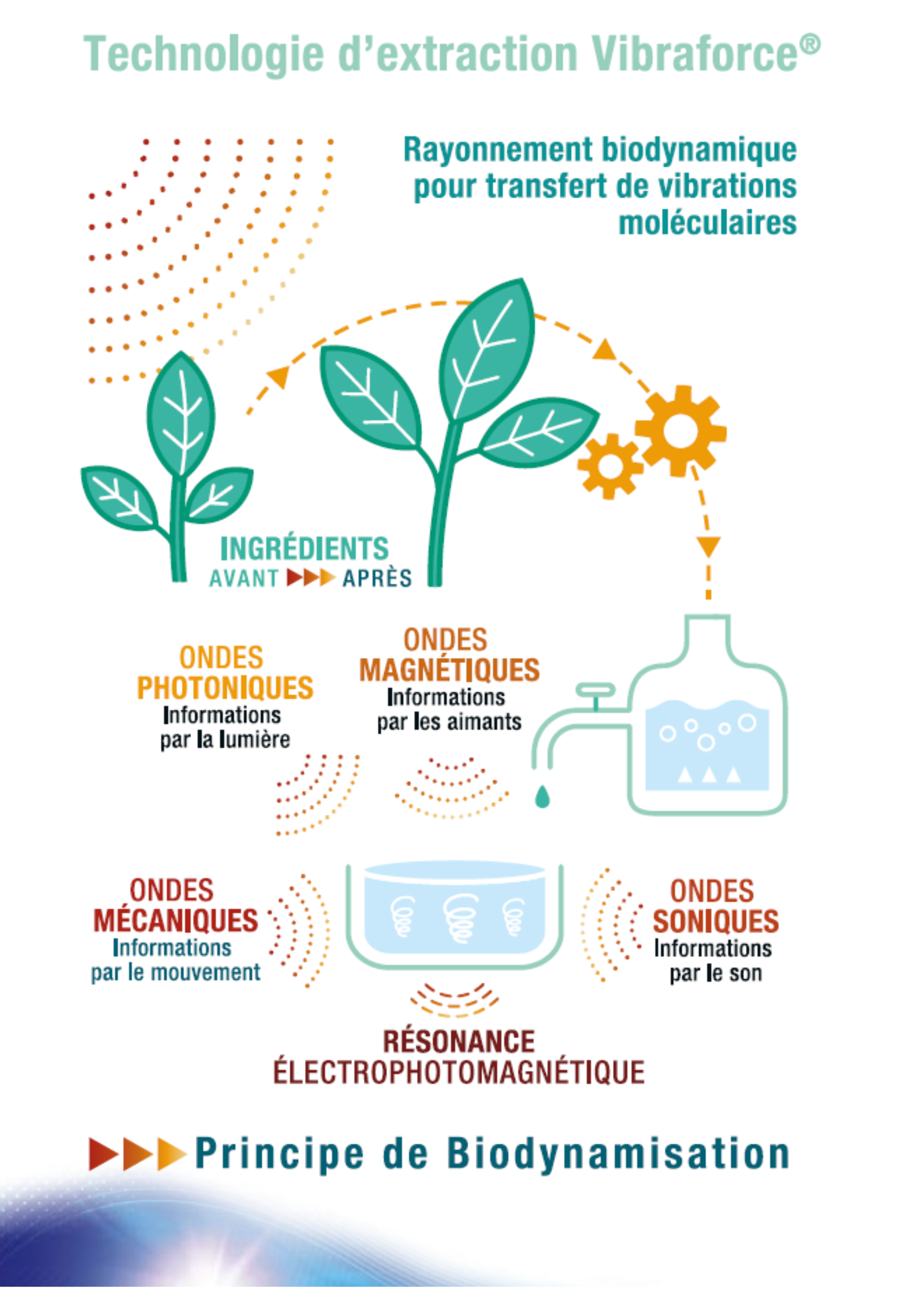 Vibra-process-innovation-vibraforce-conception-extraction-biotechnology