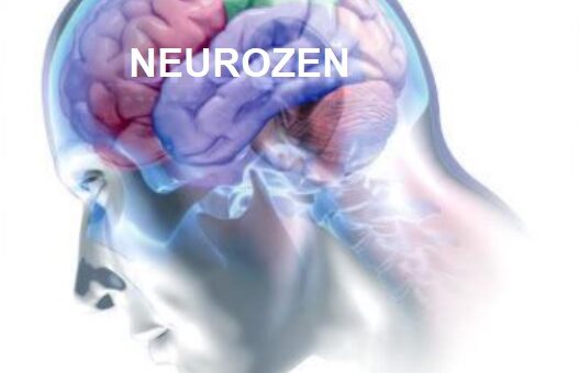 Neurozen de Naturège, le compléments alimentaire naturel révolutionnaire pour mieux gérer son stress et améliorer sa mémoire