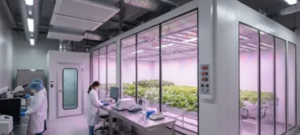 Qualité chez Vibraforce