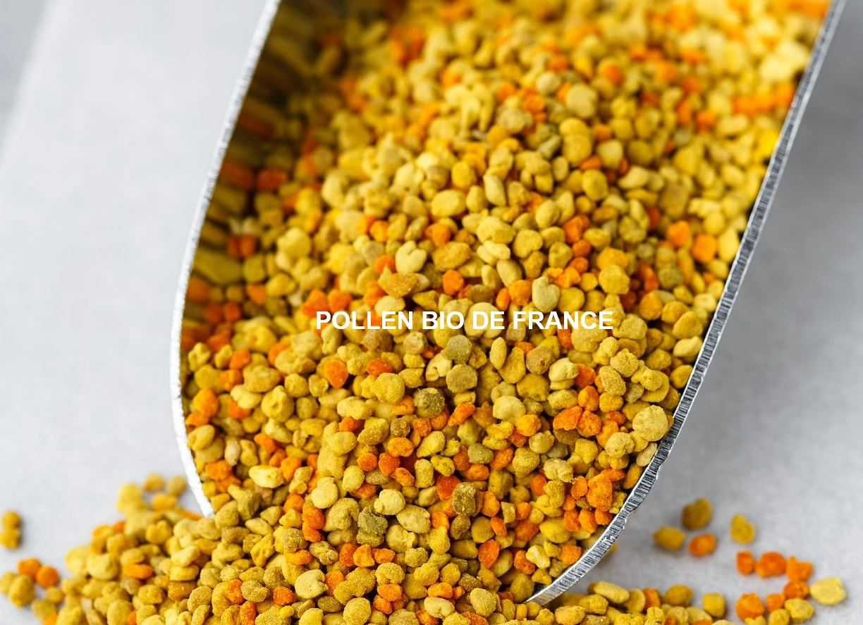 Pollen bio français